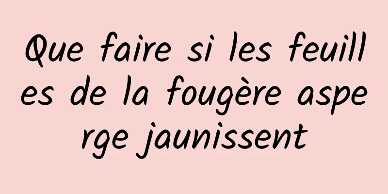 Que faire si les feuilles de la fougère asperge jaunissent