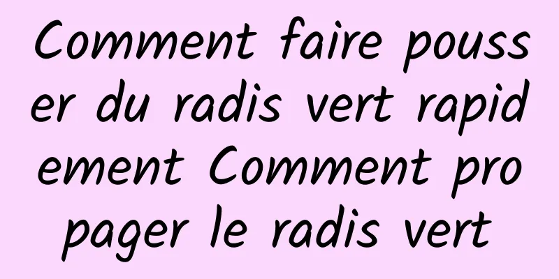 Comment faire pousser du radis vert rapidement Comment propager le radis vert