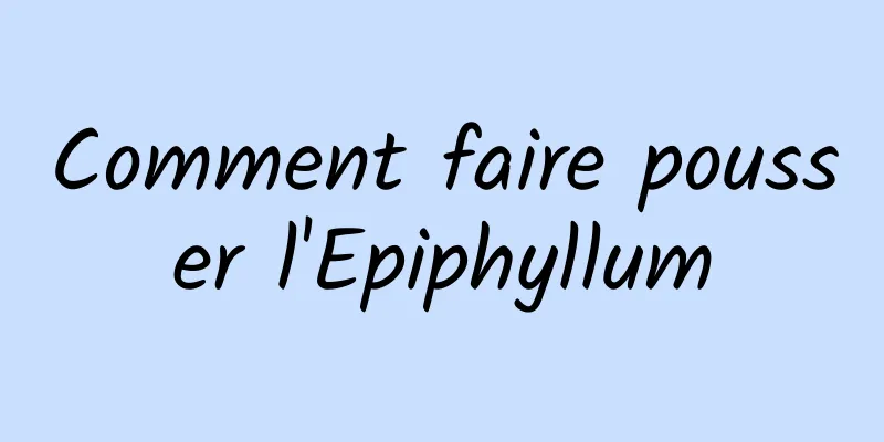 Comment faire pousser l'Epiphyllum