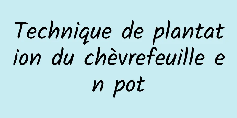 Technique de plantation du chèvrefeuille en pot