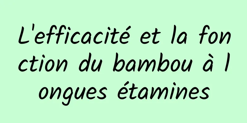 L'efficacité et la fonction du bambou à longues étamines