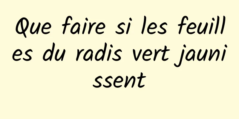 Que faire si les feuilles du radis vert jaunissent