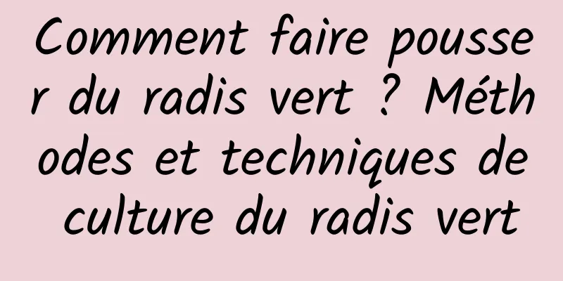 Comment faire pousser du radis vert ? Méthodes et techniques de culture du radis vert