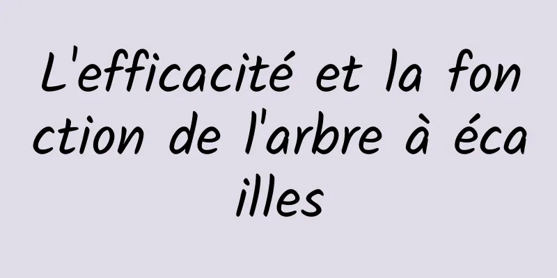 L'efficacité et la fonction de l'arbre à écailles