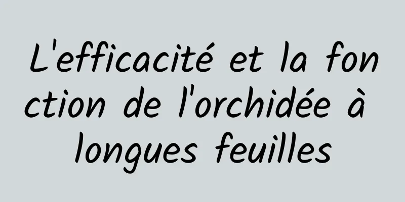 L'efficacité et la fonction de l'orchidée à longues feuilles