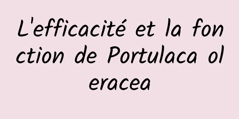 L'efficacité et la fonction de Portulaca oleracea