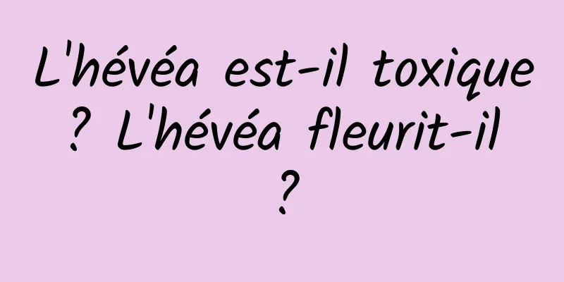 L'hévéa est-il toxique ? L'hévéa fleurit-il ?