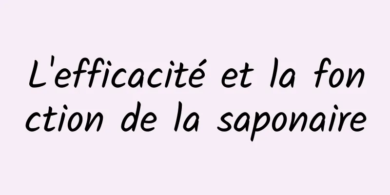 L'efficacité et la fonction de la saponaire