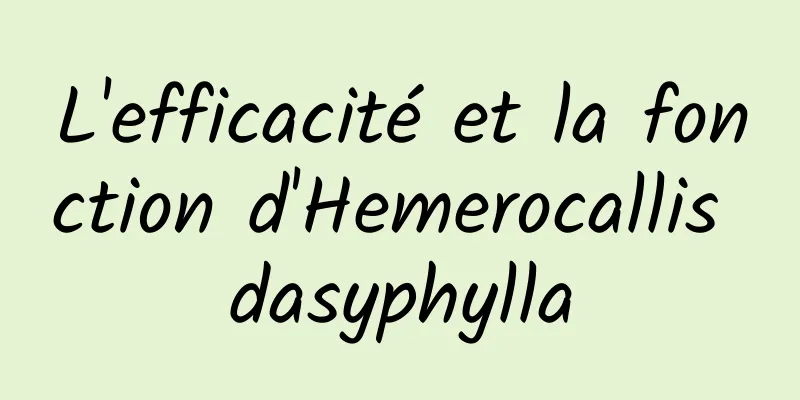 L'efficacité et la fonction d'Hemerocallis dasyphylla