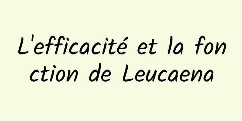 L'efficacité et la fonction de Leucaena