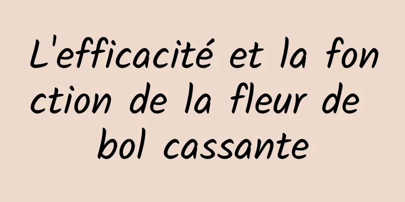 L'efficacité et la fonction de la fleur de bol cassante