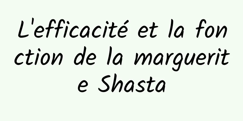 L'efficacité et la fonction de la marguerite Shasta