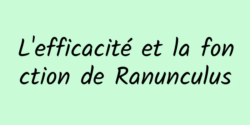 L'efficacité et la fonction de Ranunculus