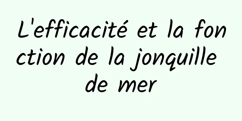 L'efficacité et la fonction de la jonquille de mer