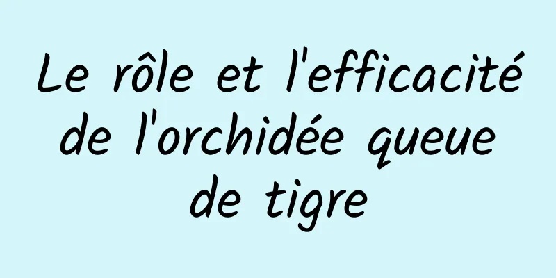 Le rôle et l'efficacité de l'orchidée queue de tigre