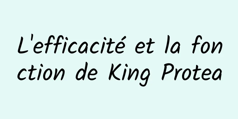 L'efficacité et la fonction de King Protea