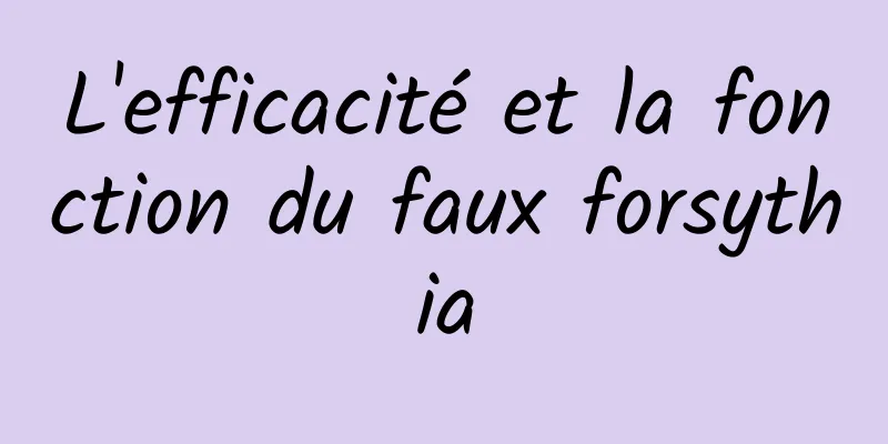 L'efficacité et la fonction du faux forsythia