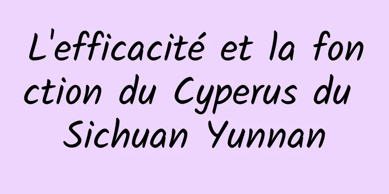 L'efficacité et la fonction du Cyperus du Sichuan Yunnan