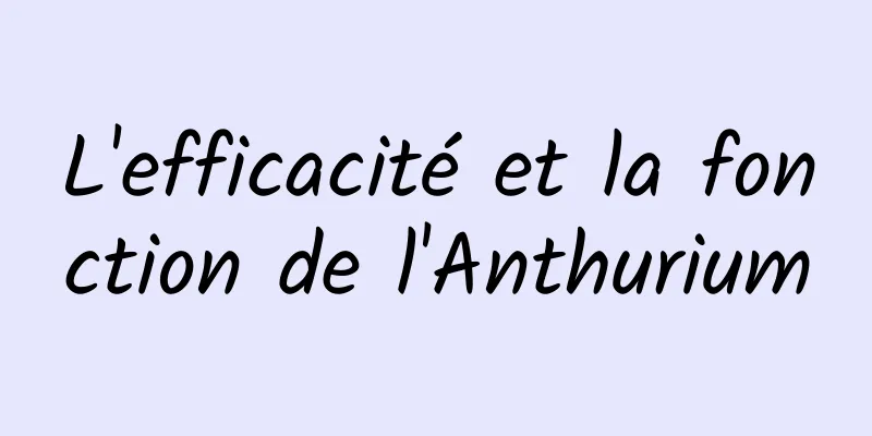 L'efficacité et la fonction de l'Anthurium