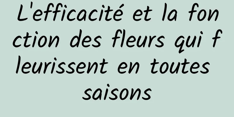 L'efficacité et la fonction des fleurs qui fleurissent en toutes saisons