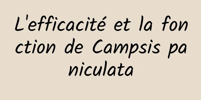 L'efficacité et la fonction de Campsis paniculata