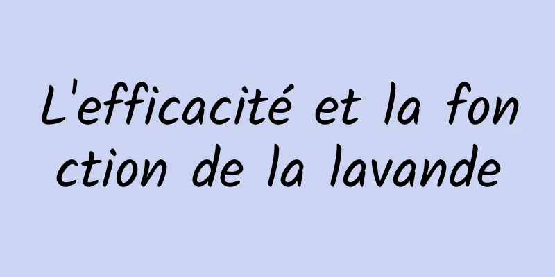 L'efficacité et la fonction de la lavande