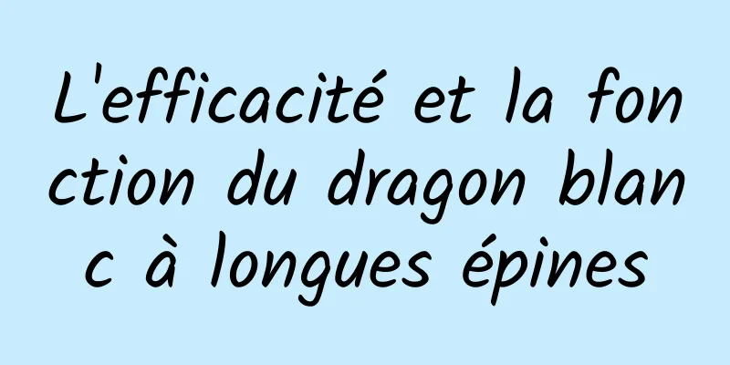 L'efficacité et la fonction du dragon blanc à longues épines