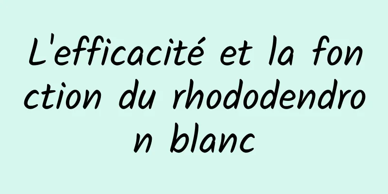 L'efficacité et la fonction du rhododendron blanc