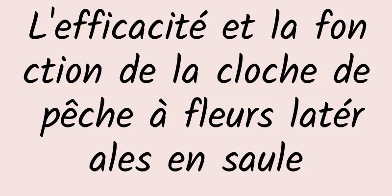 L'efficacité et la fonction de la cloche de pêche à fleurs latérales en saule