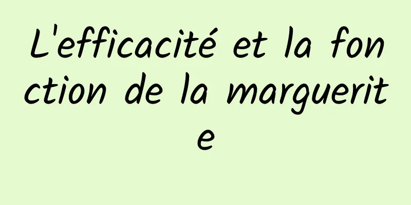 L'efficacité et la fonction de la marguerite