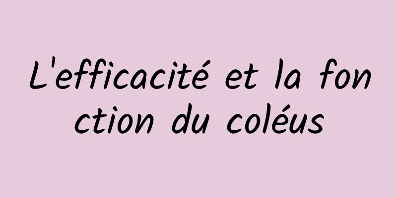 L'efficacité et la fonction du coléus