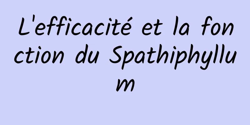 L'efficacité et la fonction du Spathiphyllum