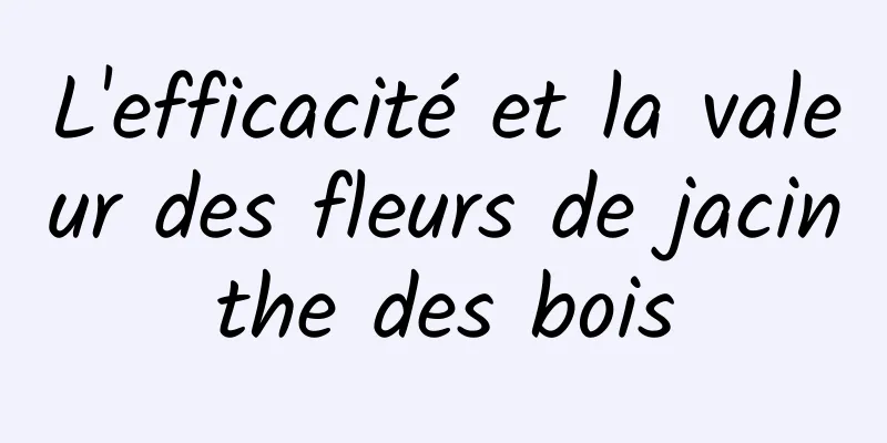 L'efficacité et la valeur des fleurs de jacinthe des bois