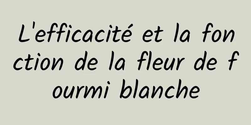 L'efficacité et la fonction de la fleur de fourmi blanche