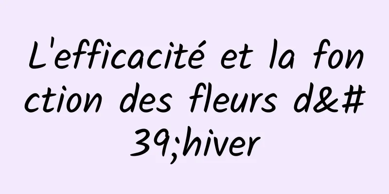 L'efficacité et la fonction des fleurs d'hiver