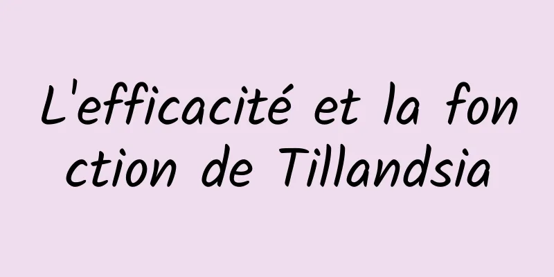 L'efficacité et la fonction de Tillandsia