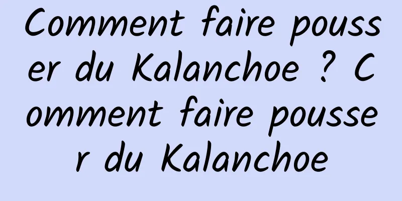 Comment faire pousser du Kalanchoe ? Comment faire pousser du Kalanchoe