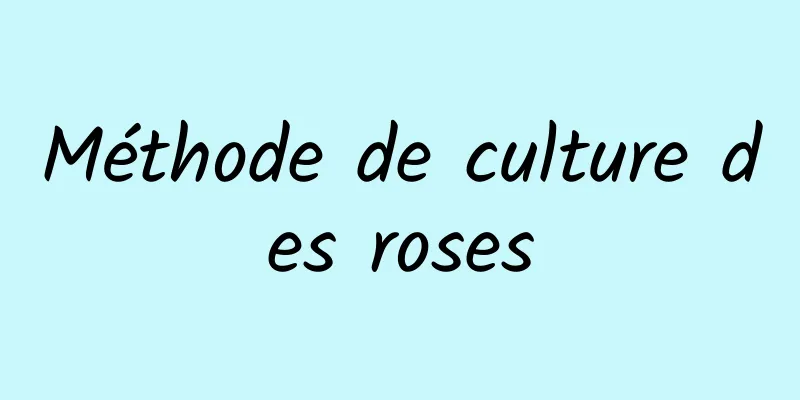 Méthode de culture des roses