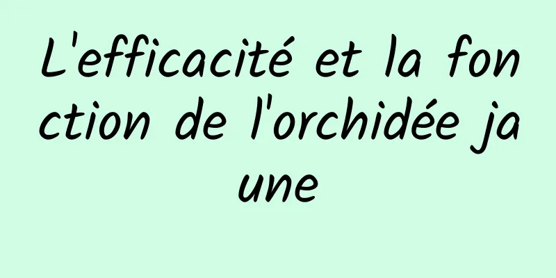 L'efficacité et la fonction de l'orchidée jaune