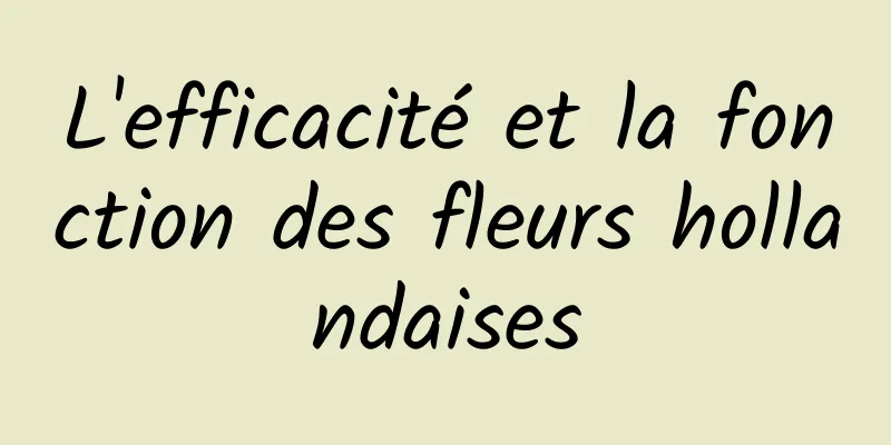 L'efficacité et la fonction des fleurs hollandaises