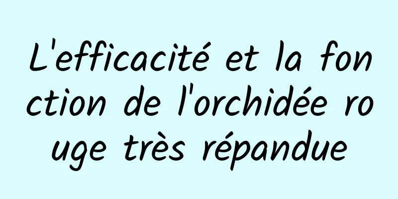 L'efficacité et la fonction de l'orchidée rouge très répandue