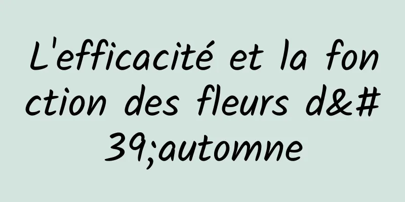 L'efficacité et la fonction des fleurs d'automne