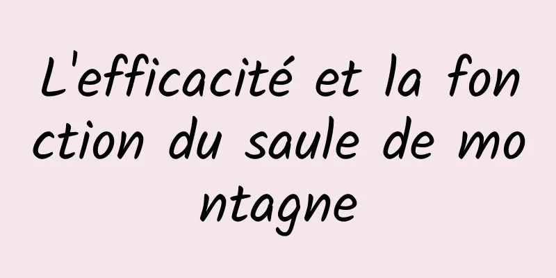 L'efficacité et la fonction du saule de montagne