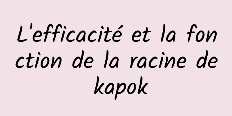 L'efficacité et la fonction de la racine de kapok