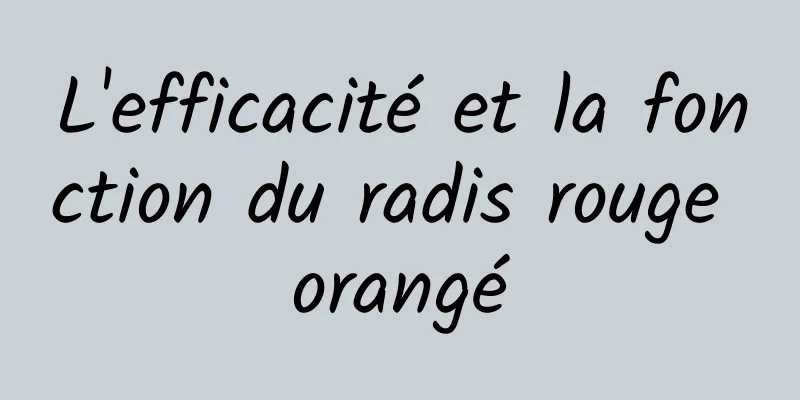 L'efficacité et la fonction du radis rouge orangé