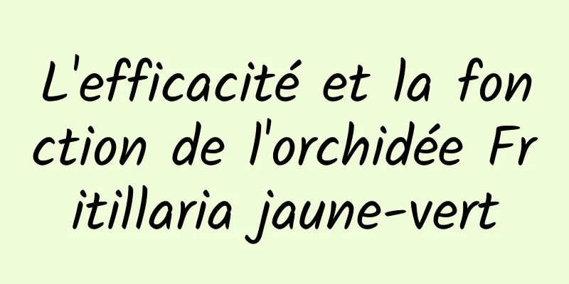 L'efficacité et la fonction de l'orchidée Fritillaria jaune-vert