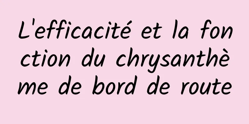 L'efficacité et la fonction du chrysanthème de bord de route