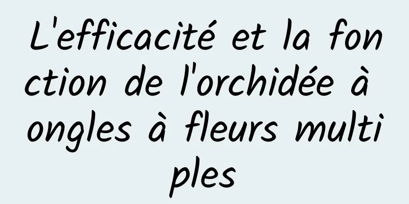 L'efficacité et la fonction de l'orchidée à ongles à fleurs multiples