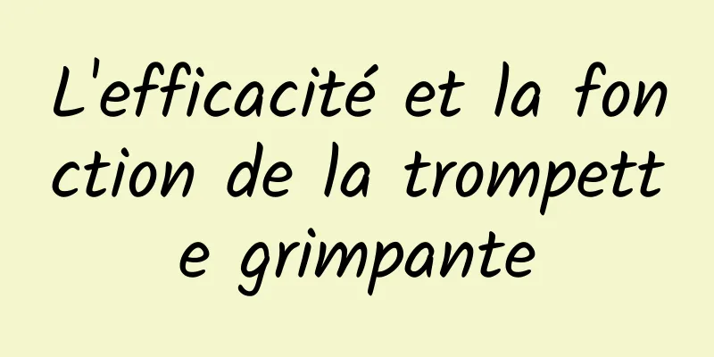 L'efficacité et la fonction de la trompette grimpante