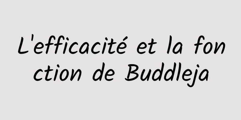 L'efficacité et la fonction de Buddleja